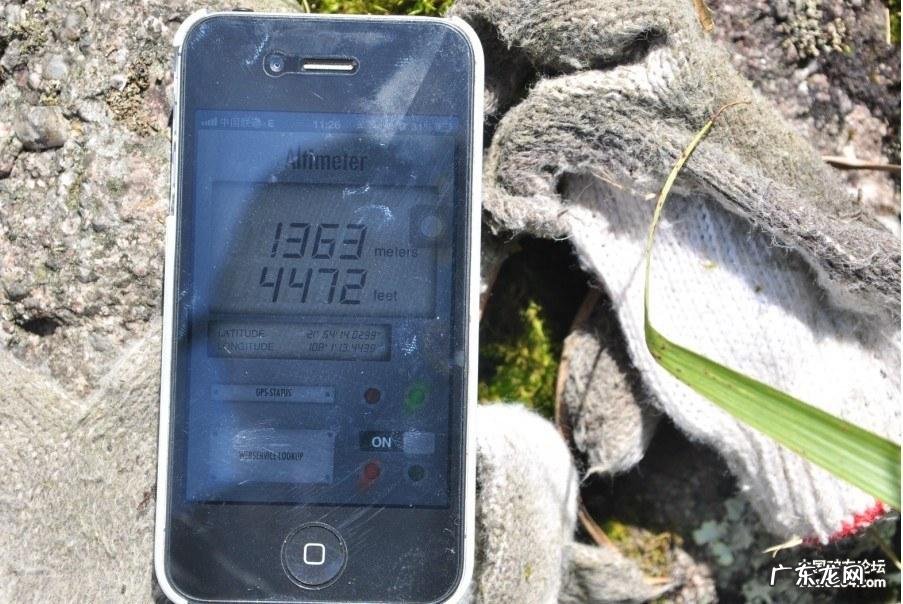 广西天鹅的风水