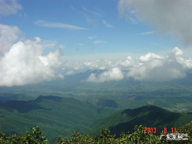 广西天鹅的风水