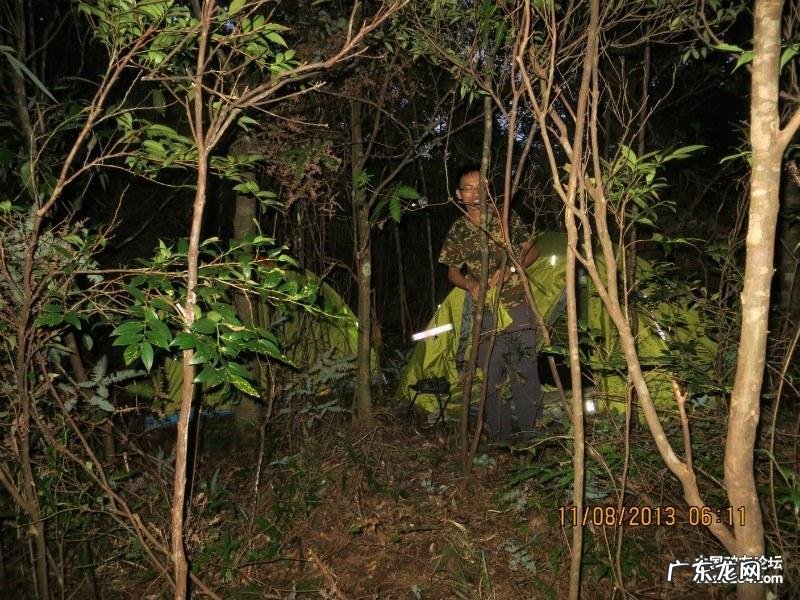 广西天鹅的风水