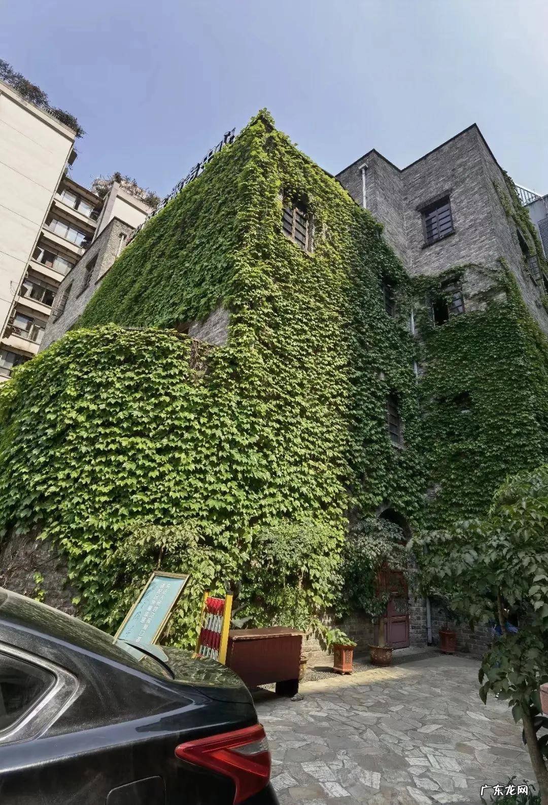 洪崖洞对面的最佳观景 洪崖洞对岸是哪里