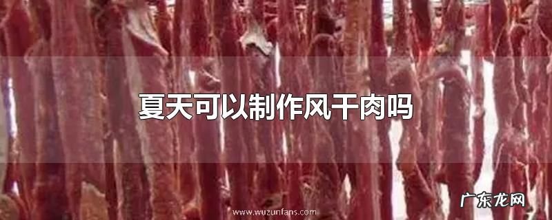 夏天可以制作风干肉吗