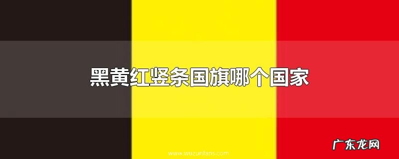 黑黄红竖条国旗哪个国家