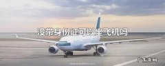 没带身份证可以坐飞机吗