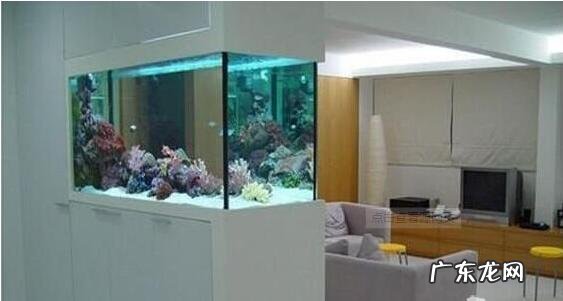 床头上方做柜子风水学 鱼缸上下做柜子影响风水吗