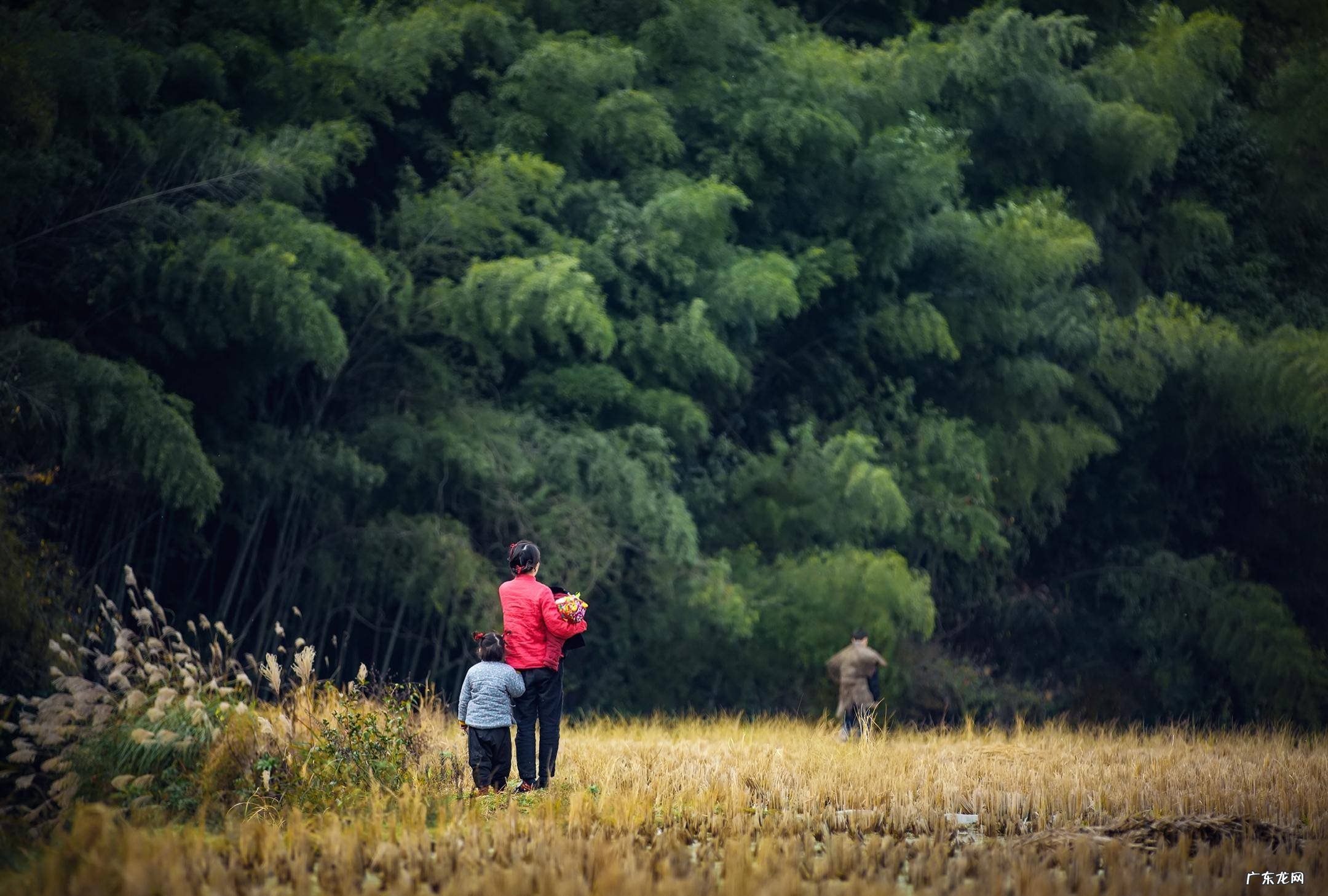 经典传奇锁定龙脉之谜 客家风水龙脉锁图解