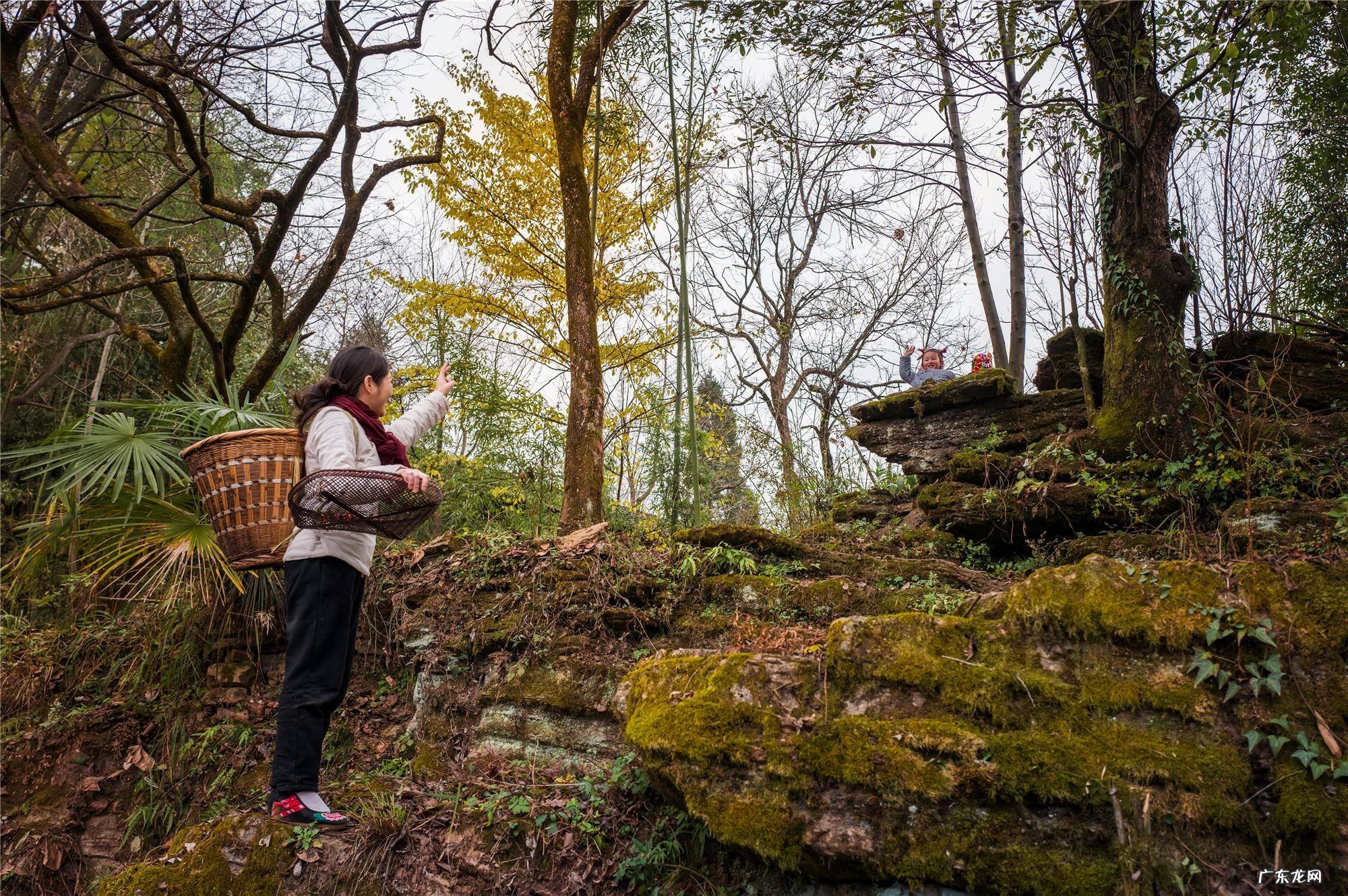 经典传奇锁定龙脉之谜 客家风水龙脉锁图解