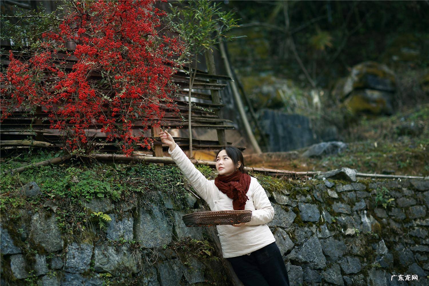 经典传奇锁定龙脉之谜 客家风水龙脉锁图解