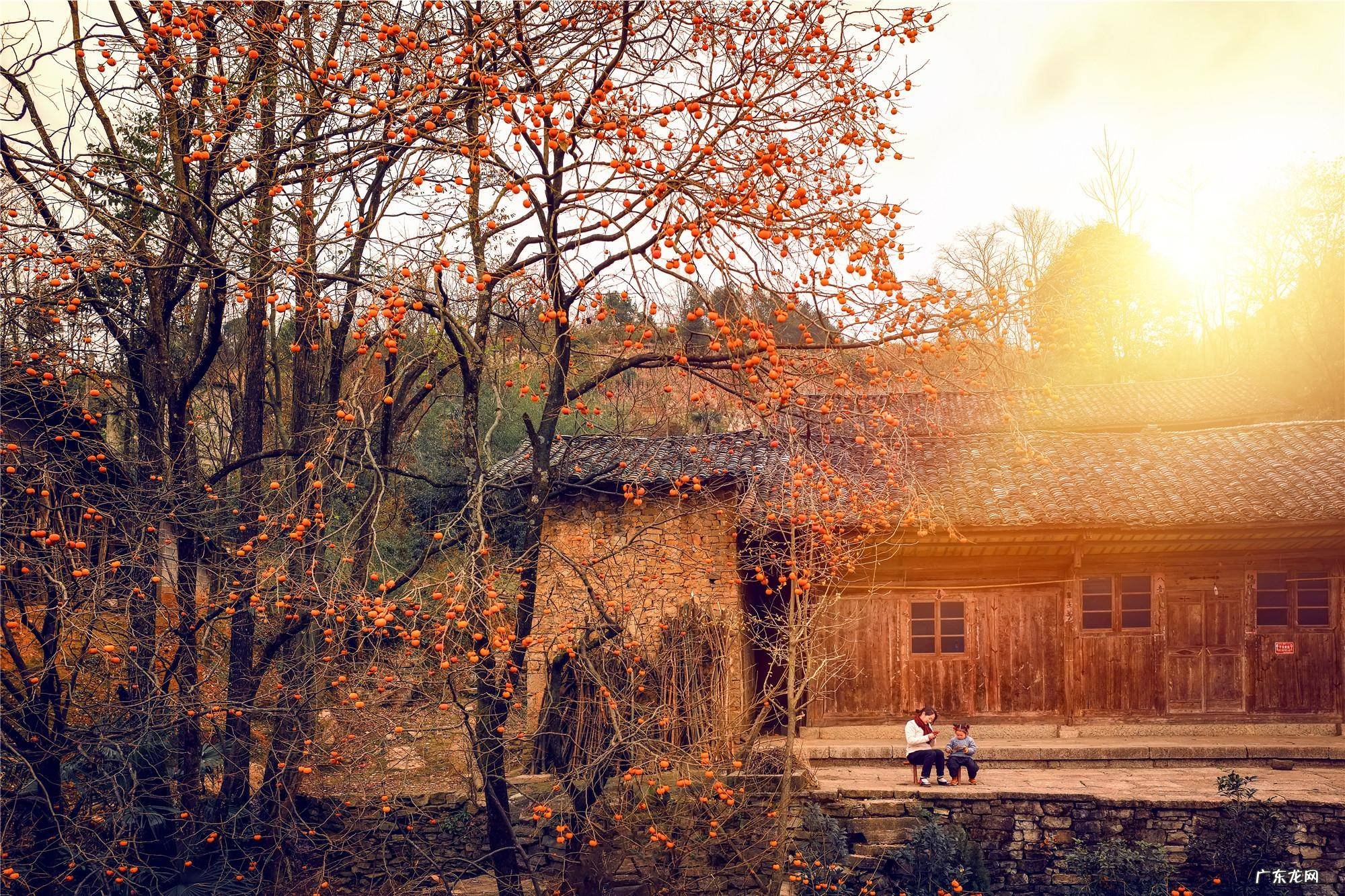 经典传奇锁定龙脉之谜 客家风水龙脉锁图解