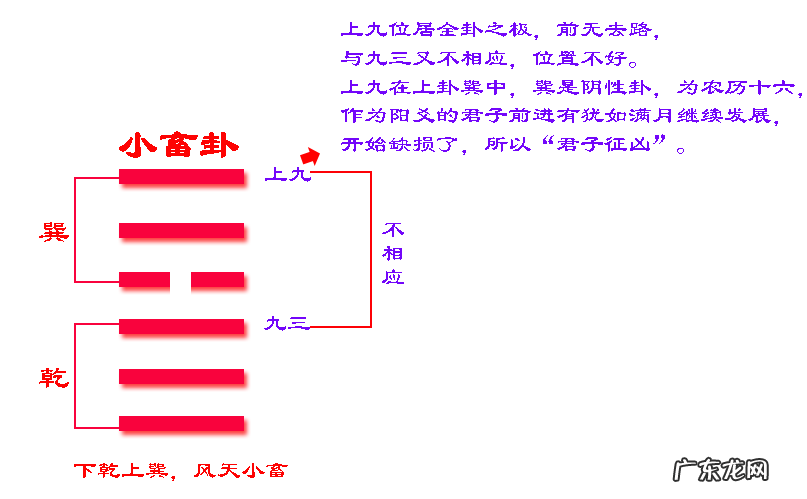 家畜读音 风水小畜怎么读拼音