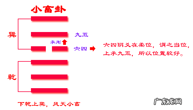家畜读音 风水小畜怎么读拼音