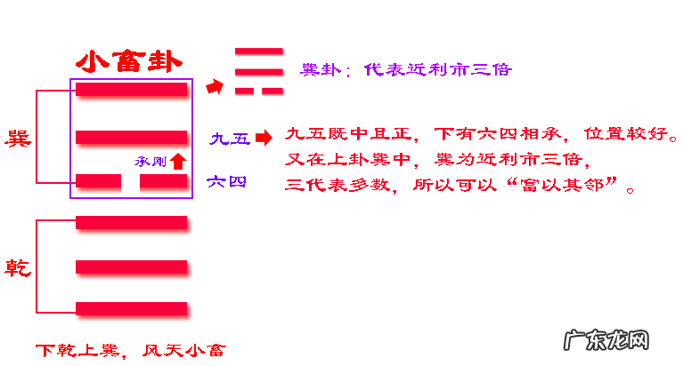 家畜读音 风水小畜怎么读拼音