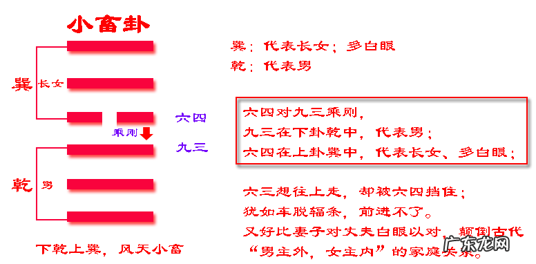 家畜读音 风水小畜怎么读拼音