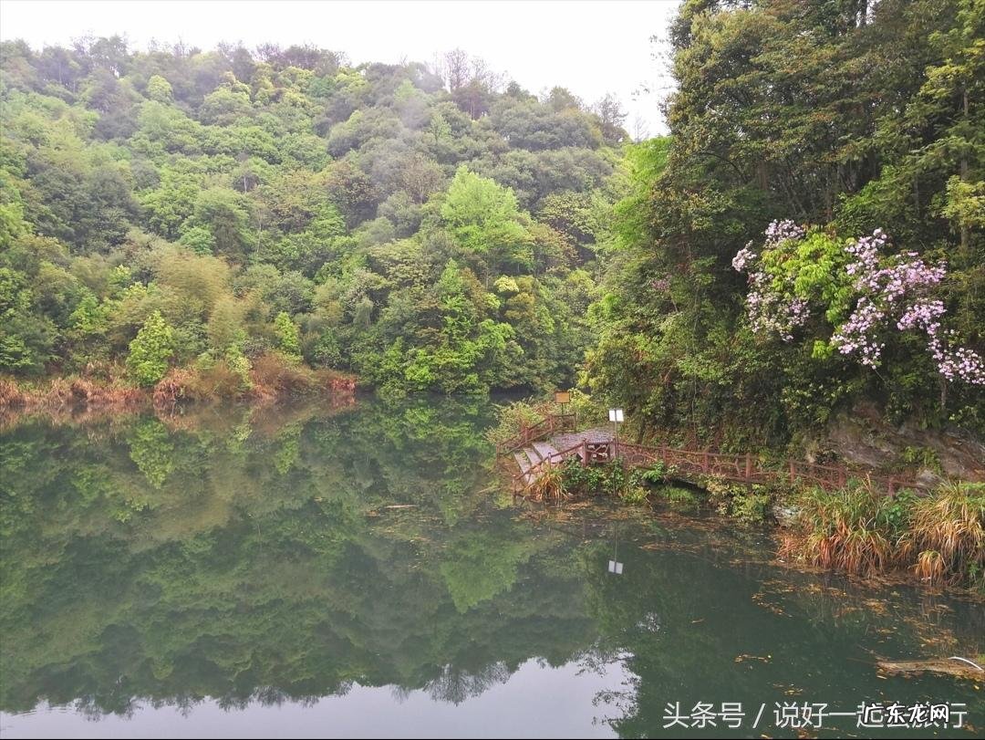 山脉风水 山林茂密的风水有哪些