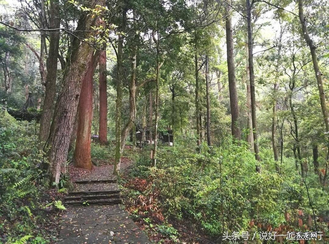 山脉风水 山林茂密的风水有哪些