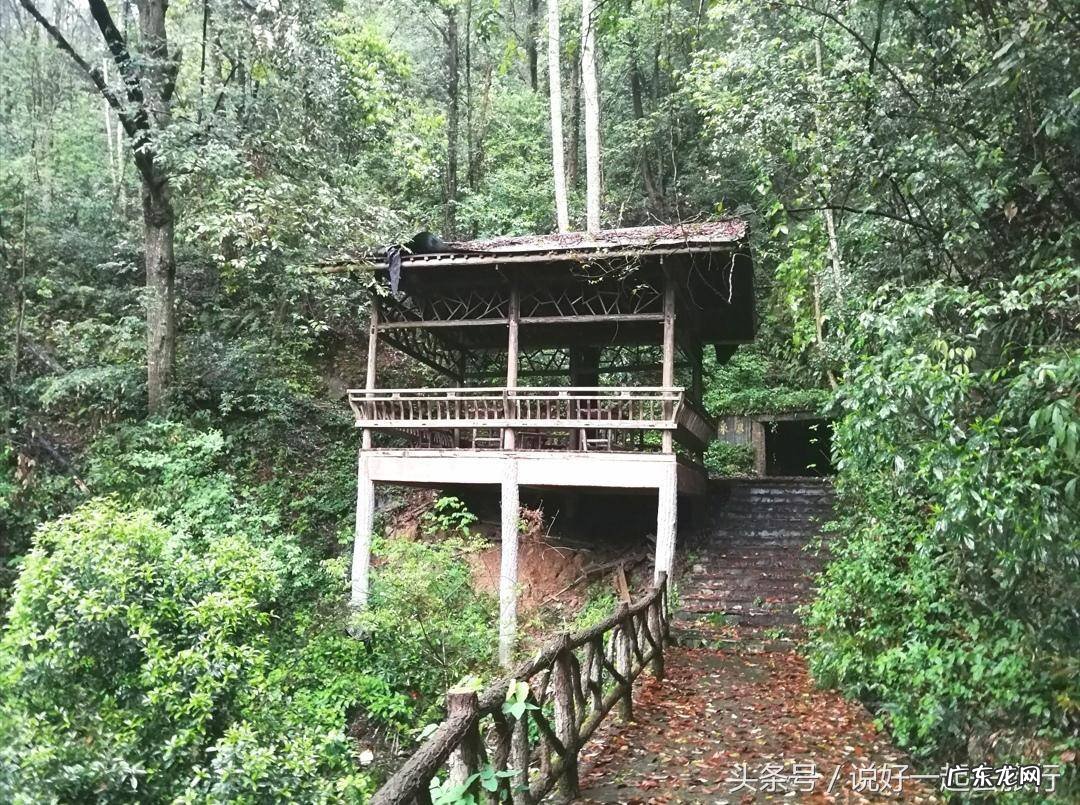 山脉风水 山林茂密的风水有哪些