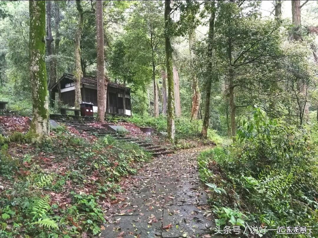 山脉风水 山林茂密的风水有哪些