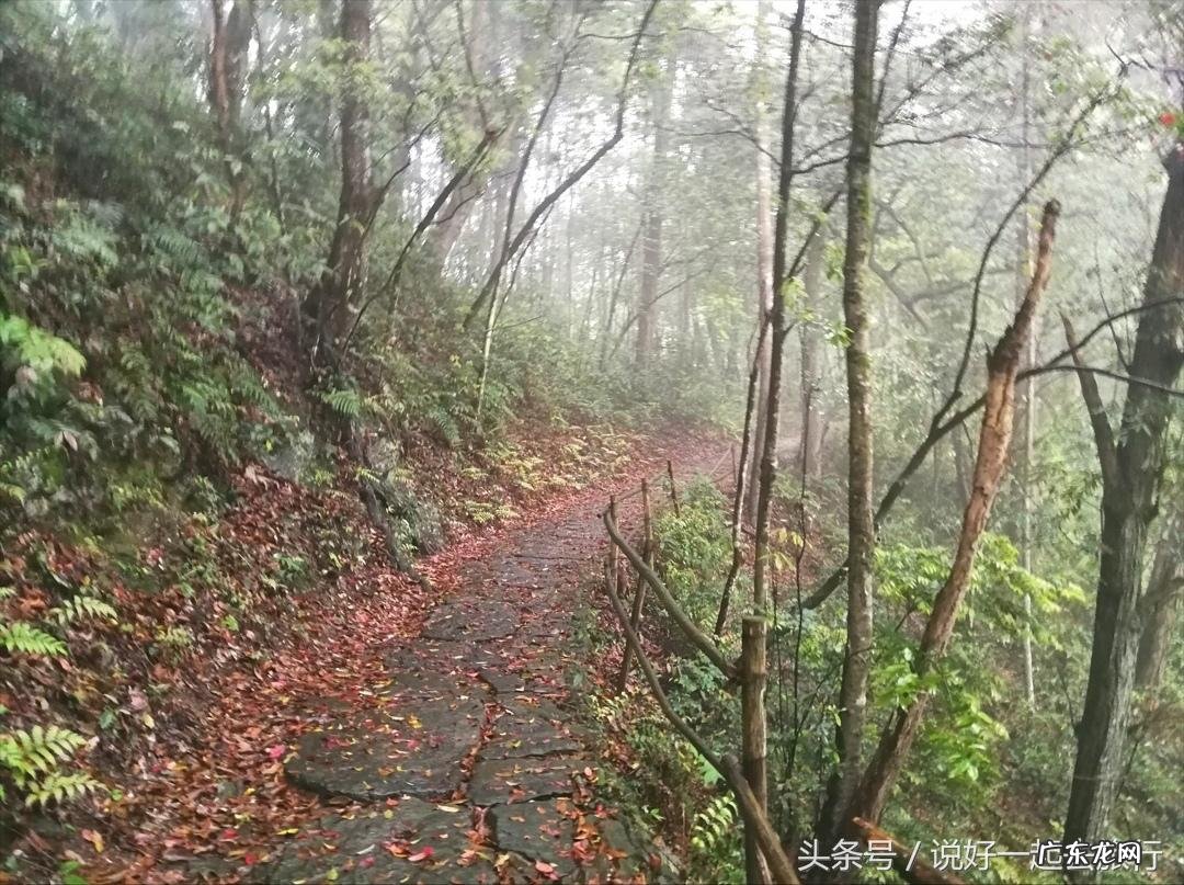 山脉风水 山林茂密的风水有哪些