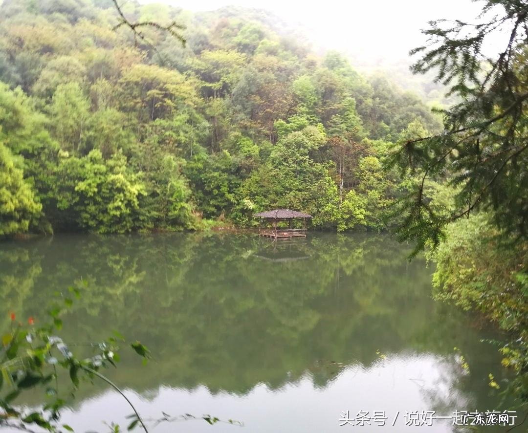 山脉风水 山林茂密的风水有哪些