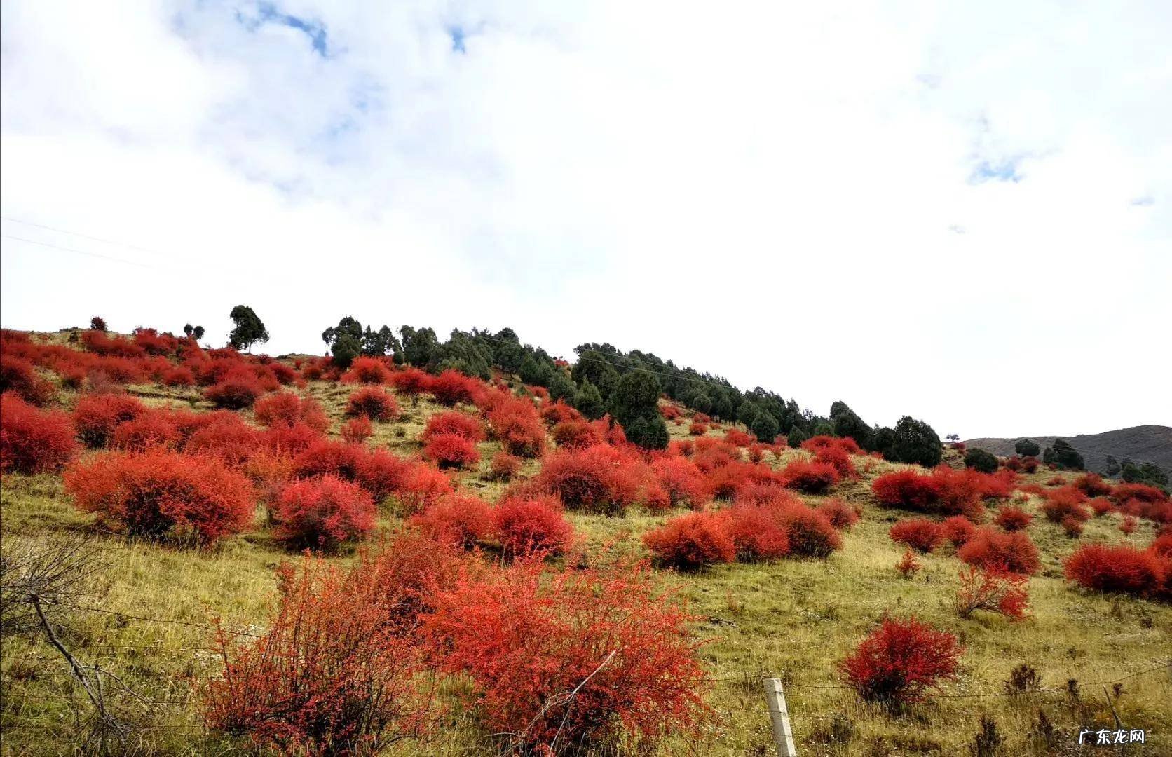 张掖马蹄寺风水如何
