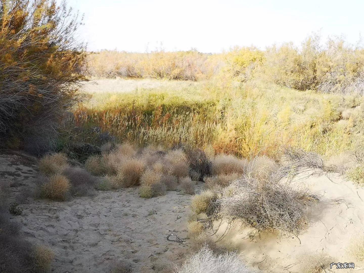 张掖马蹄寺风水如何