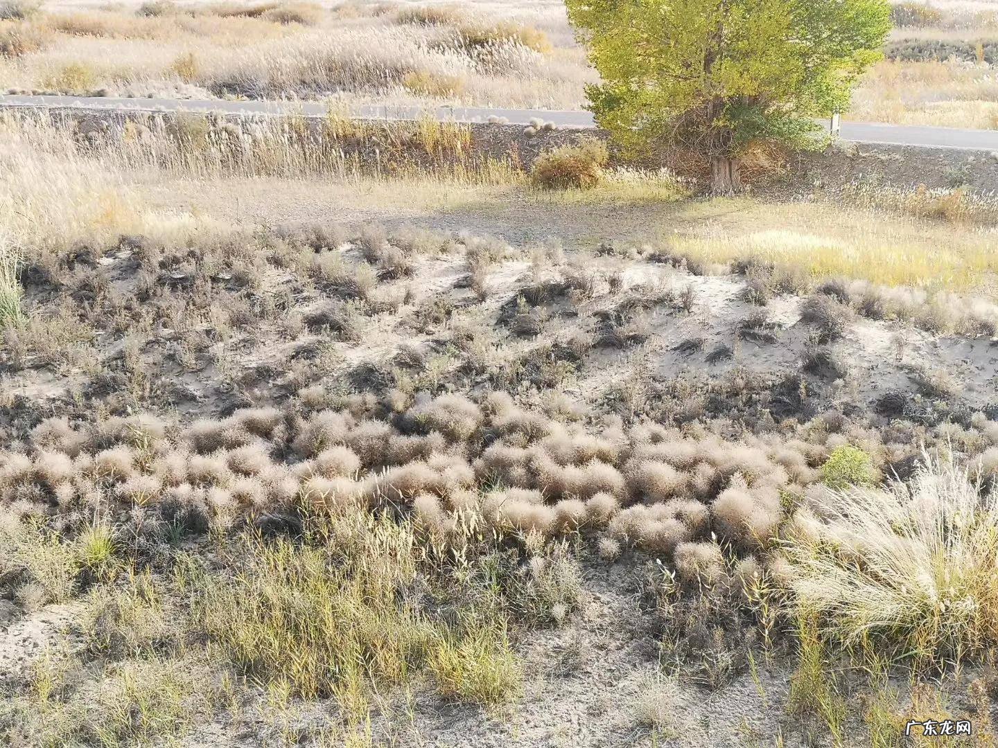 张掖马蹄寺风水如何