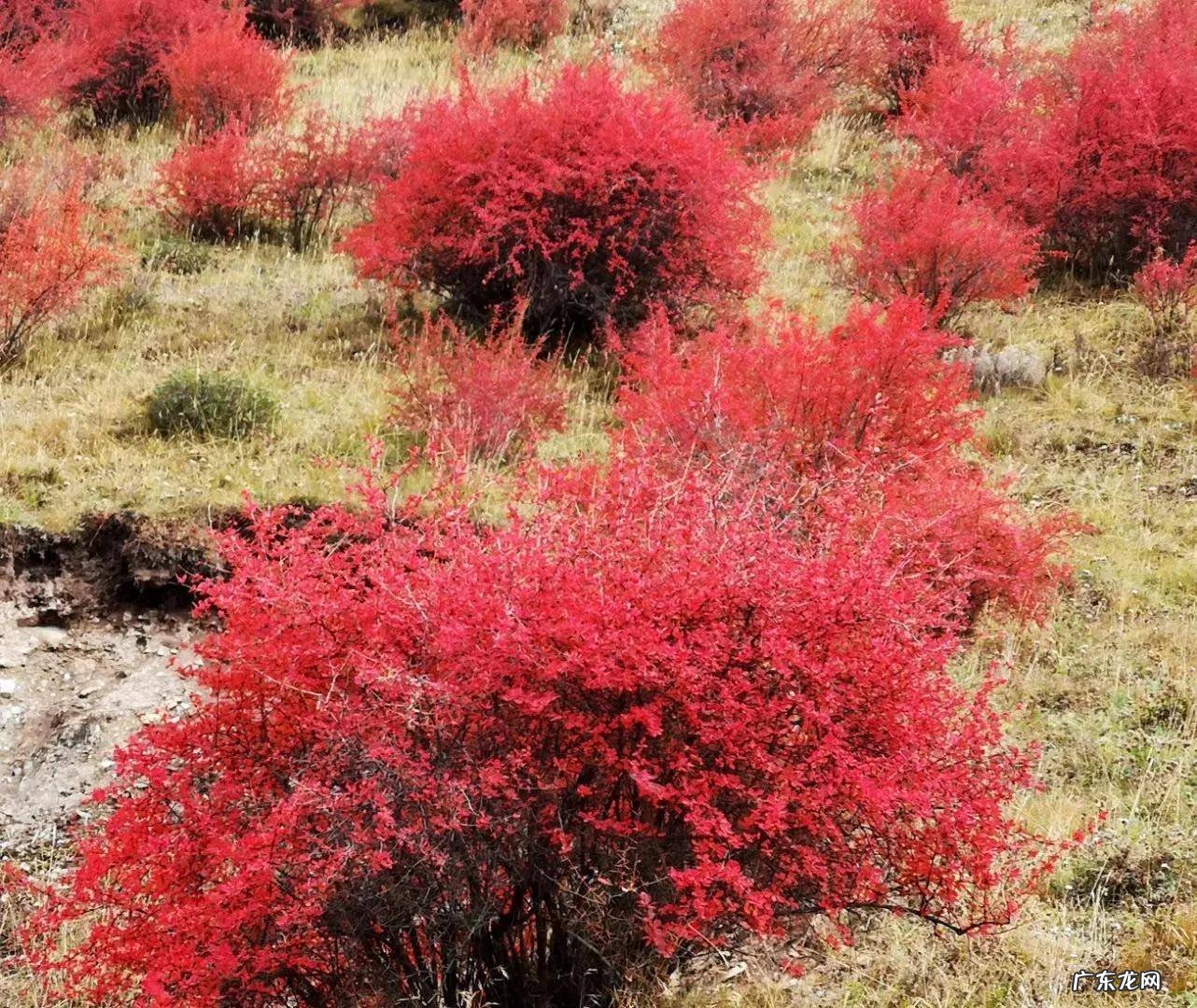 张掖马蹄寺风水如何