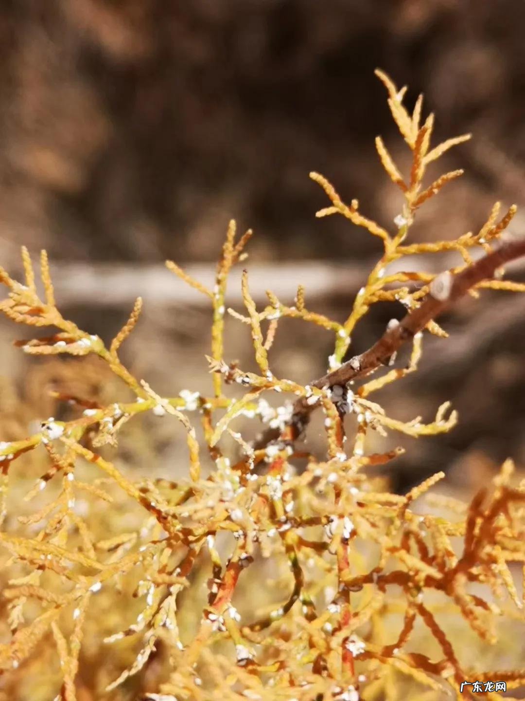 张掖马蹄寺风水如何