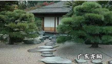 院子里种苹果树风水好吗 院里栽苹果树影响风水吗