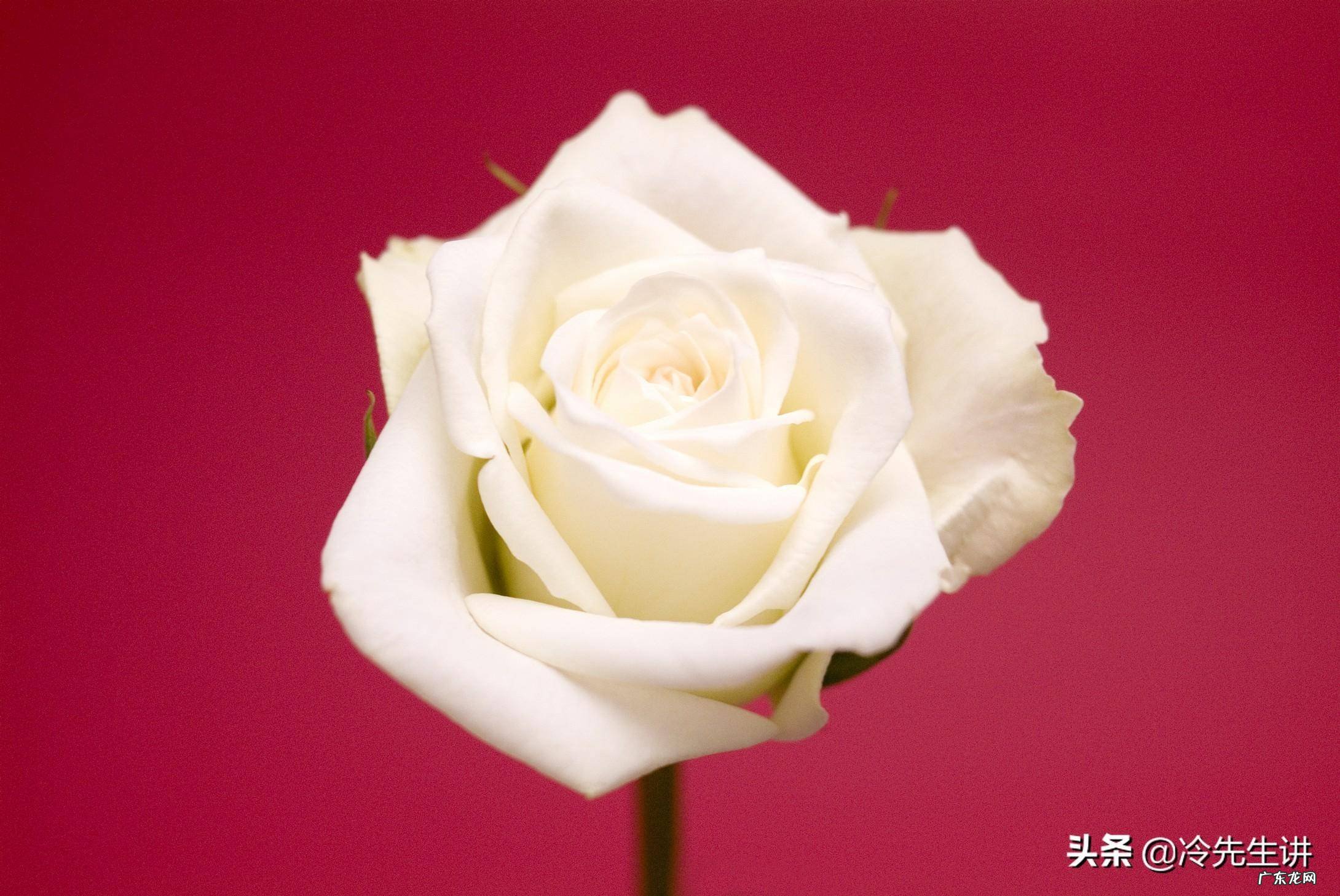 风水美女献花地秘诀