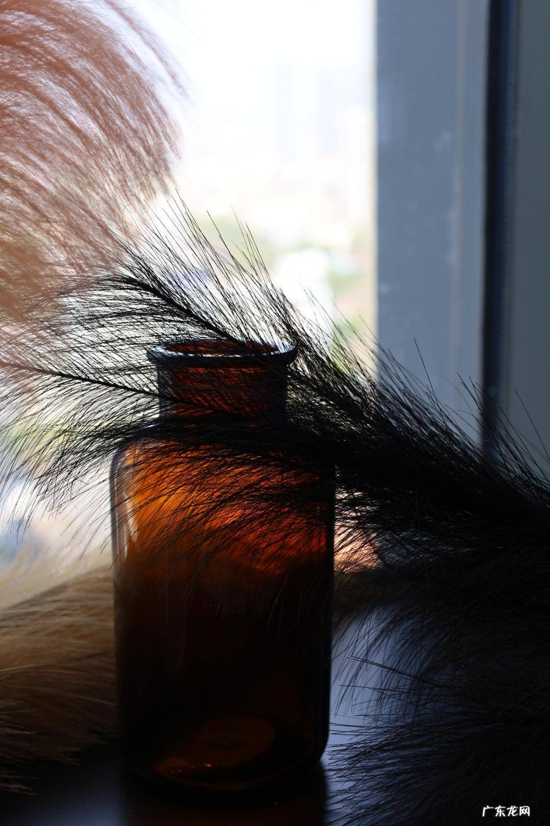 前门水塘有芦苇风水好吗