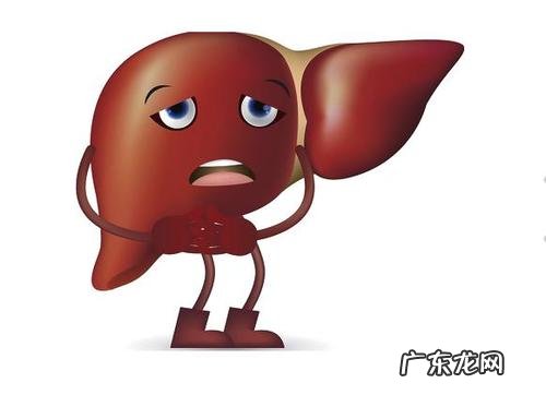 排毒?你坚持的执念该放手了