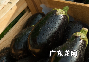 鱼香茄子怎么做