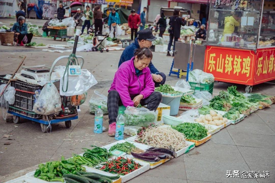 上海风水好的住宅小区 城南家园的风水