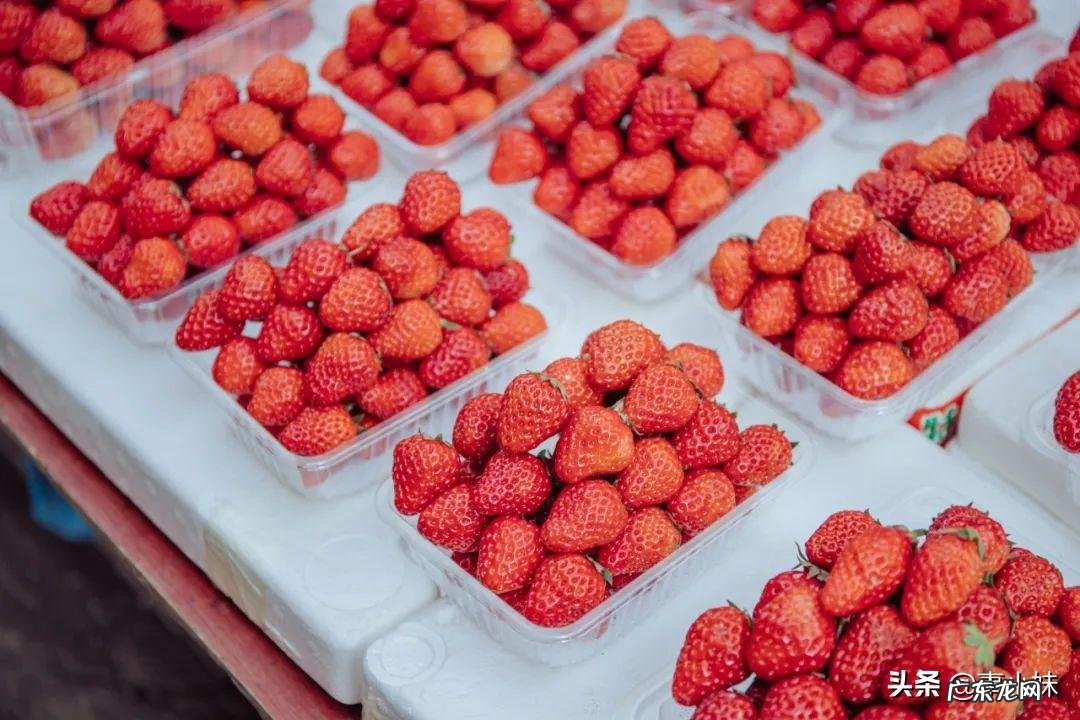 上海风水好的住宅小区 城南家园的风水