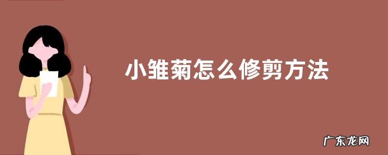 小雏菊怎么修剪方法