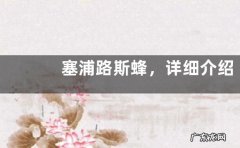 塞浦路斯蜂，详细介绍