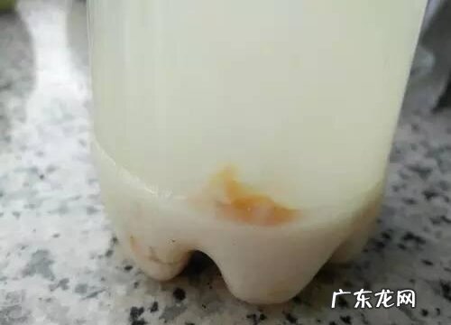 发酵的淘米水浇芦荟方法 淘米水能直接浇芦荟吗