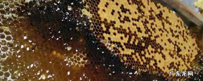 冬蜜,怎样定义并附其产地分布