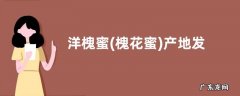 槐花蜜 洋槐蜜产地发布，营养价值有哪些