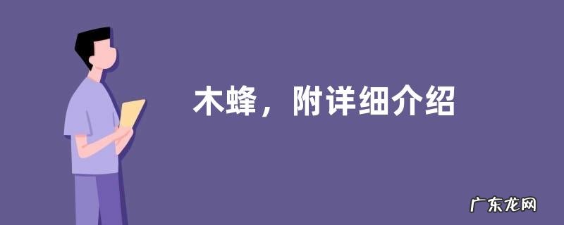 木蜂,附详细介绍