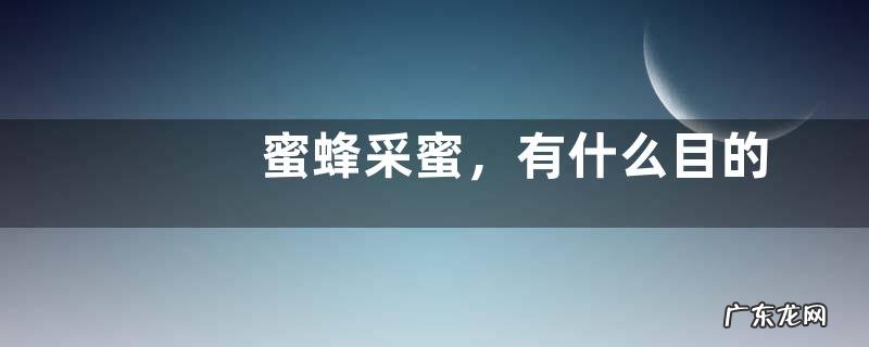 蜜蜂采蜜,有什么目的