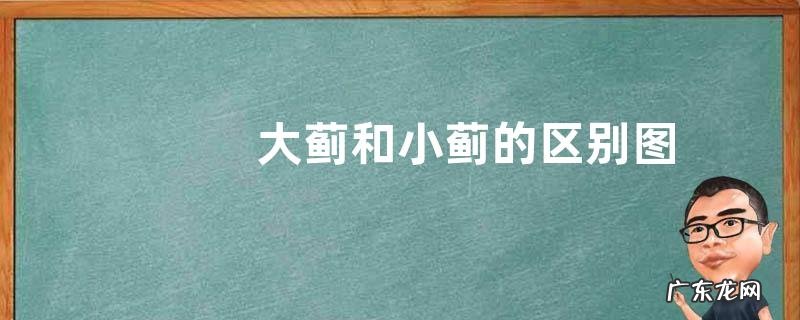 大蓟和小蓟的区别图