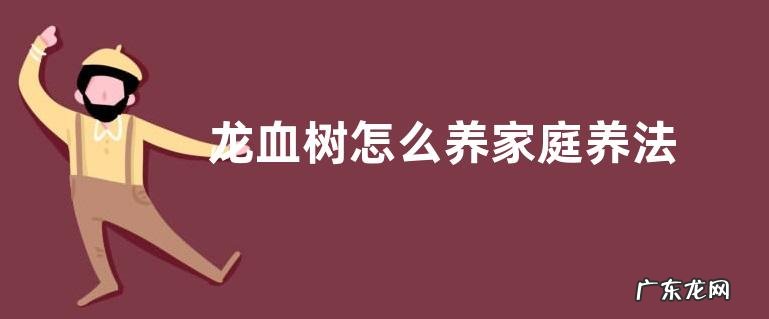 龙血树怎么养家庭养法 家里养殖方法