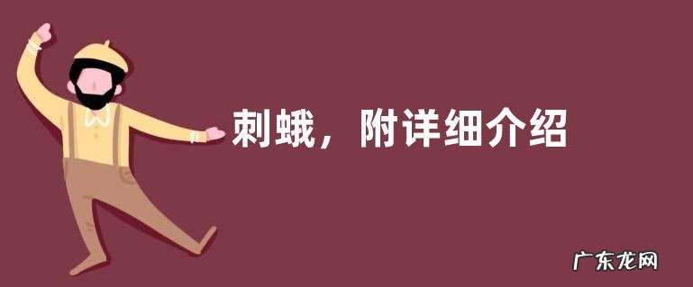 刺蛾,附详细介绍