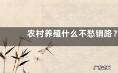 农村养殖什么不愁销路？附农村养殖的选择