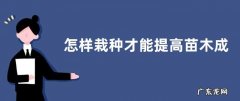 保证苗木成活率主要措施 怎样栽种才能提高苗木成活率