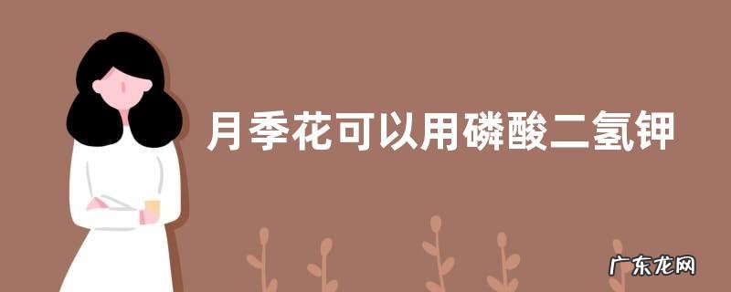 月季适合施什么肥料长得好 月季花可以用磷酸二氢钾肥吗