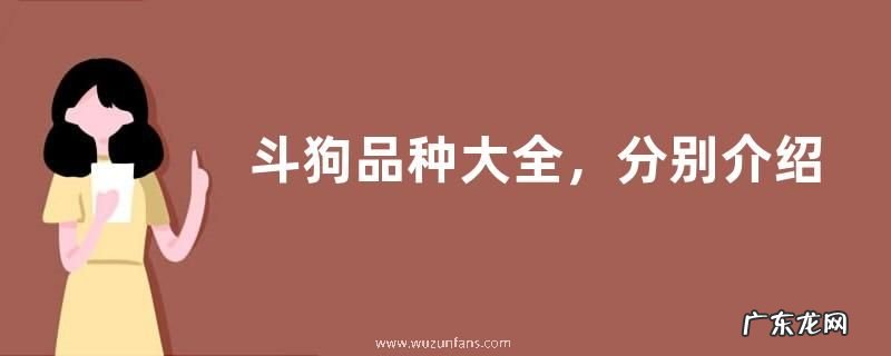 斗狗品种大全，分别介绍比特犬、土佐犬和杜高犬