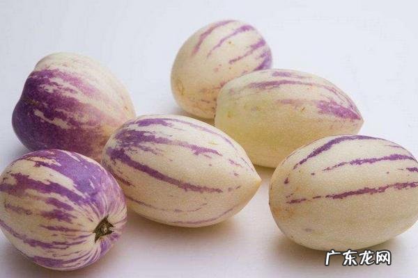 人参果是什么水果,什么环境适合它生长