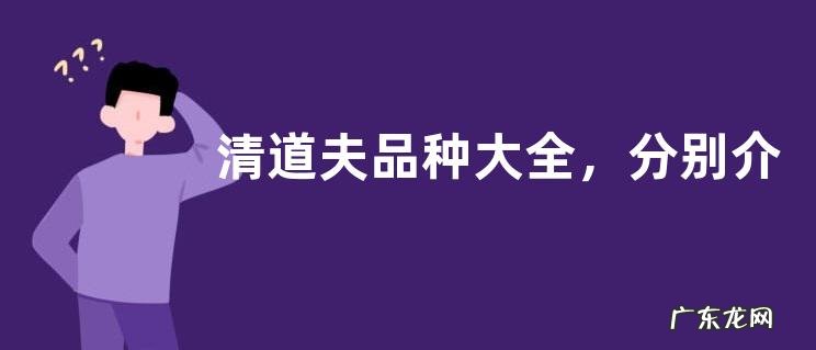 清道夫品种大全，分别介绍不同种类